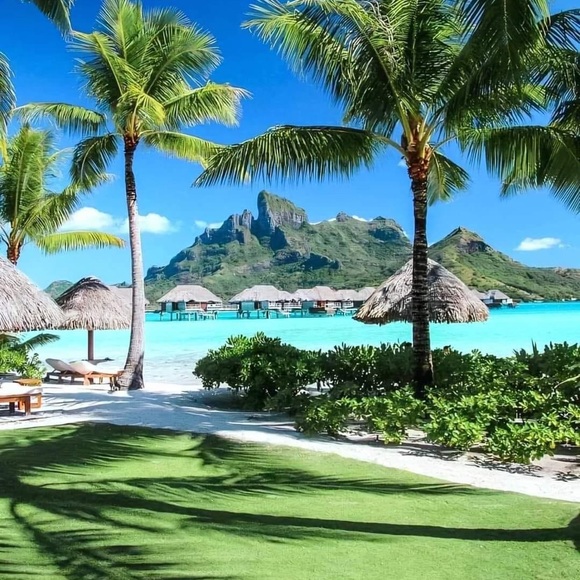 Meet your Posher, Elaine - Picture 2 of 2